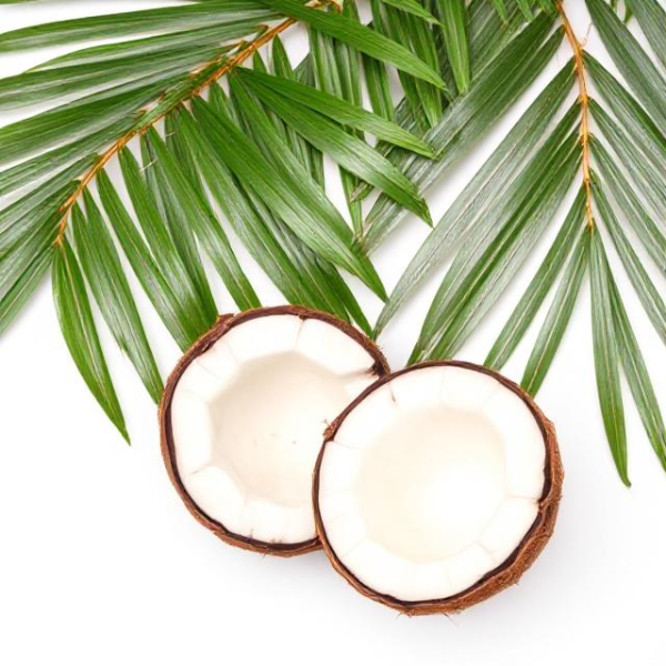 Coconut